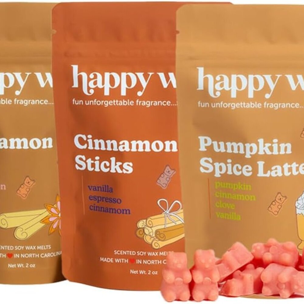 Cinnamon Collection Scented Natural Soy Wax Melts – 6 Total Oz. of Scented Wax M
